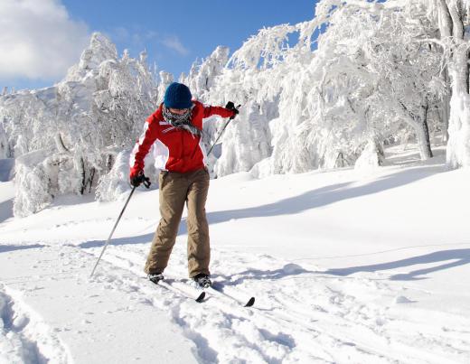 Cross-country skiing can be done in New Haven's Edgewood Park in winter.