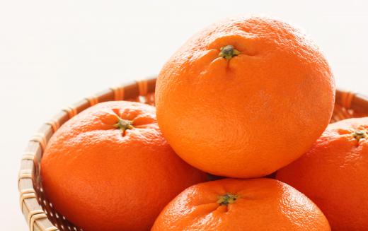Bali is an ideal place for growing citrus fruits.