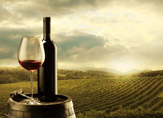 Many areas in the U.S., including parts of California, Oregon and Washington, are becoming wine tourism destinations.