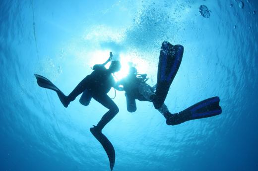 Some coastal summer camps specialize in diving instruction.