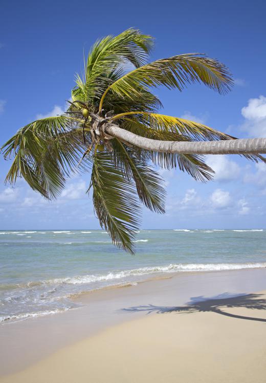 Cabanas are typically found at beaches.